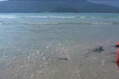 Brazilian males On The Beach