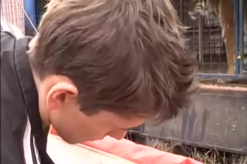 BB teens & boyz / TRASGU XII