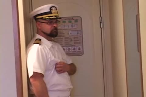 Crucero De Osos 2 1/5