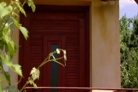 Straights friends Loving Peckers