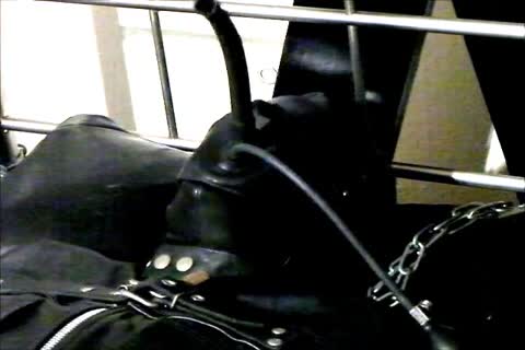 Wearing A Rubber Cat Suit Inside A Leather Body Bag manacled To The sofa, Hooded And Gagged, Then Teased For Two Hours Until that guy sperm.