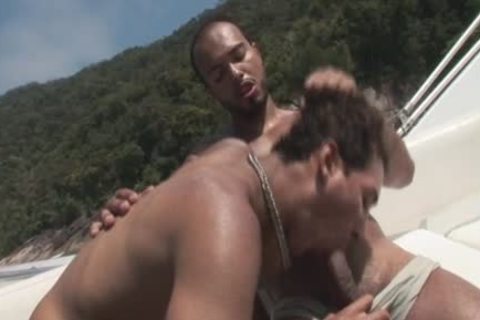 homo And On The plow Boat To Assholepoundville