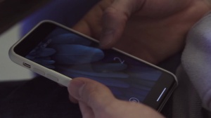 butthole Controller - butthole Sex