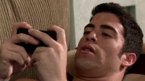 In A ideal World - wild Love