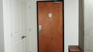 Afternoon Nap? Try Delight - lusty bone