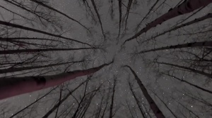 Stranded - Damien Stone with Jack Hunter anal bang