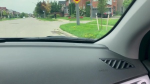 Pranksters - Dante Colle, Kit Cohen ass Love