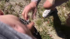 males In Public 5 – Hike - butt invasion