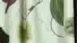 Sucked Down - non-professional Action