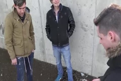 Czech Public trio