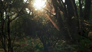 Tom Of Finland: 1957 - Kurtis Wolfe, Matthew Camp American Sex