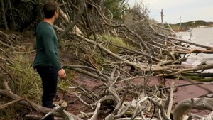 Cruising Grounds - Theo Brady American plow