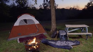 Drill My Hole: Latin Beaux Banks doggy at the camping