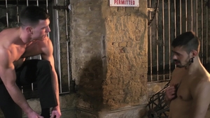 Men: Paddys Twisted Games with Blue