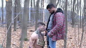 masqulin: Andrew's Slavery in the Wild